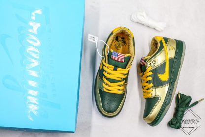 Nike SB Dunk Pro Low Doernbecher shoes