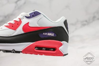 buy Air Max 90 Raptors AJ1285-106