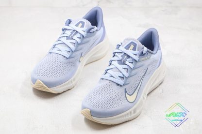 Nike Zoom Winflo 7 Light Blue shoes