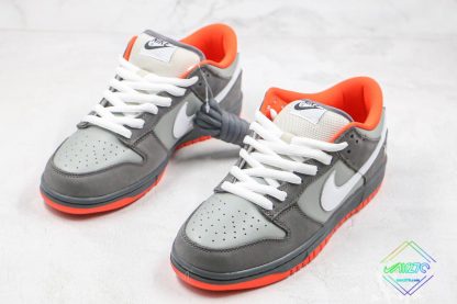 NYC Pigeon Nike Dunk SB Low sneaker